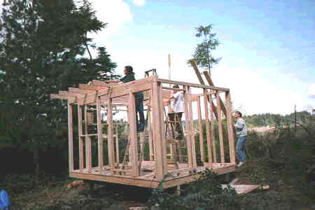 walls are up, roof joists going on top